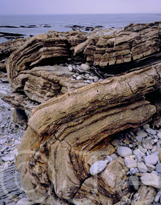 Rock layers fold over peebles